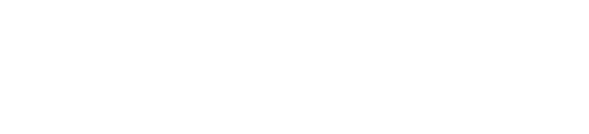 Model logo
