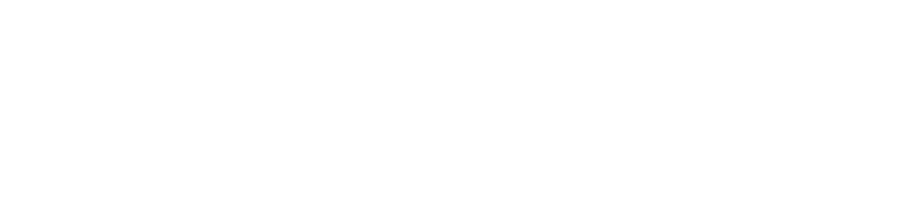 Model logo